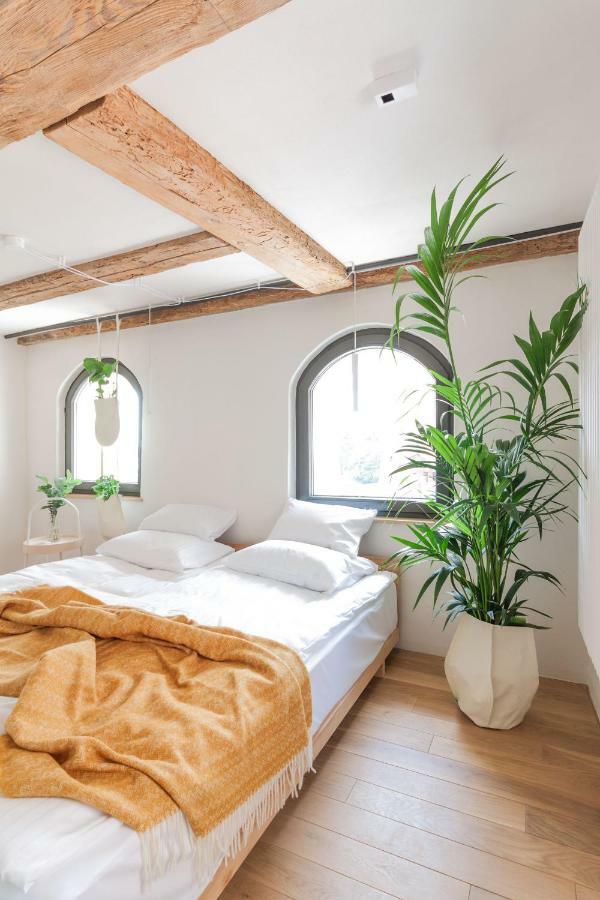 Apartamenty Monka Torun Exterior foto